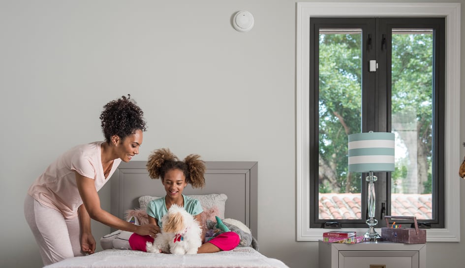 ADT Carbon and Smoke Detector